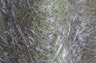 Bapton fibreglass roof work