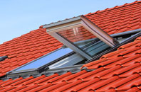 Bapton roof window